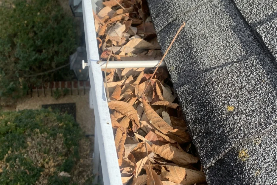 Gutter Cleaning Trinity