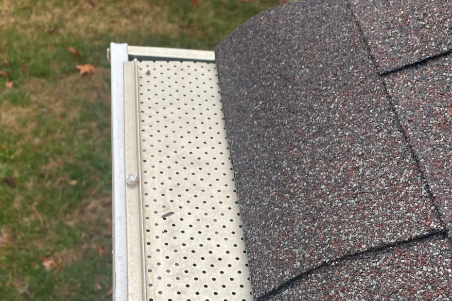 Gutter Cleaning Trinity