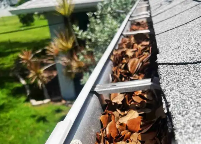 Gutter Cleaning Trinity home page